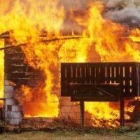 Miles Olson profile photo