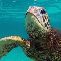 Kailey Cooper profile photo