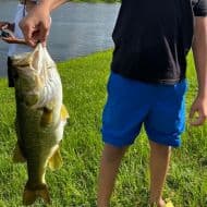 Javier Braga profile photo