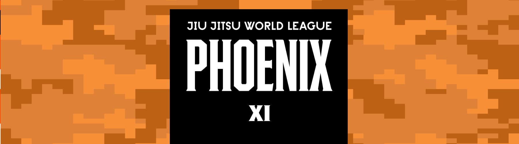 Phoenix XI Gi tournament banner