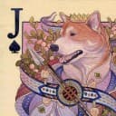 Jesse Morrison profile photo