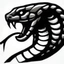 Preston Christopher Choi