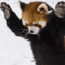 Mia Maxwell profile photo