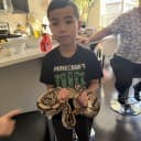 Axel Cheng profile photo