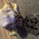 Gabriel Gonzalez profile photo