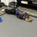 Kimberly Breanna Guzman