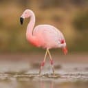 Livi Robinson profile photo