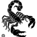 Avi Kumar profile photo